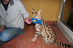 Killikus&reg; Fotographie